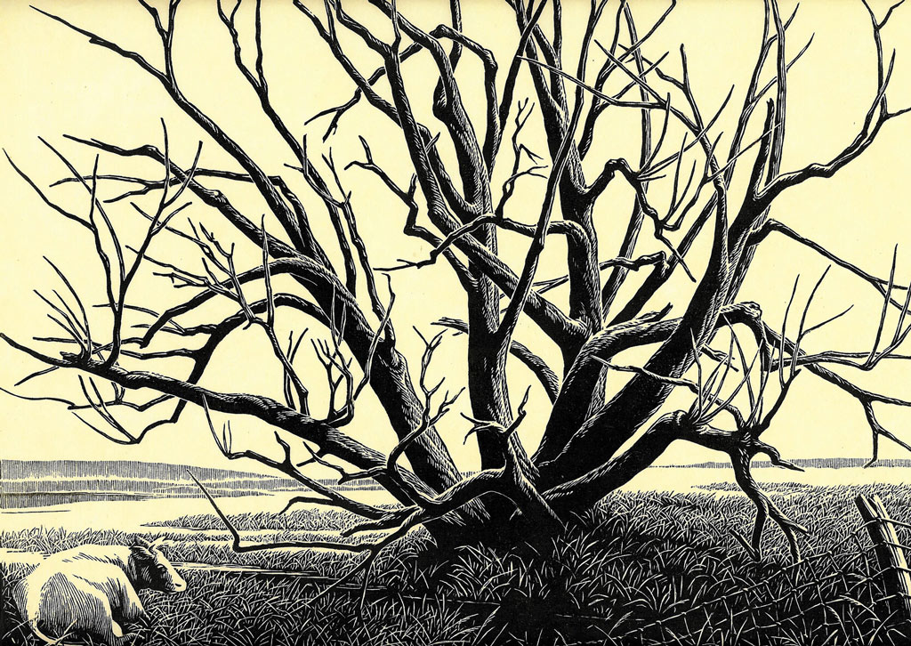 9. Down by the Old Willow, 1968	Wood engraving	9" x 12"