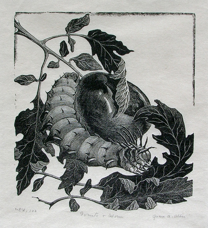 24. Tomato and Worm, 1940, Wood Engraving, 5 1/8" x  4 1/2"