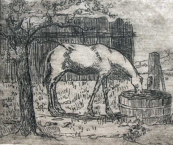10. HORSE DRINKING, Etching 4" x 5"