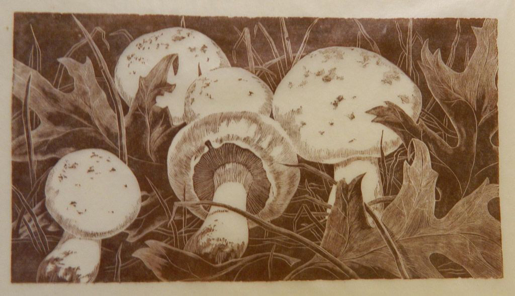 Grace A. Albee (1890-1985), Mushrooms, Engraving 4” x 6”
