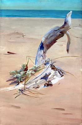Driftwood and Sea Grass, Oil on Canvas,  18" x 12"