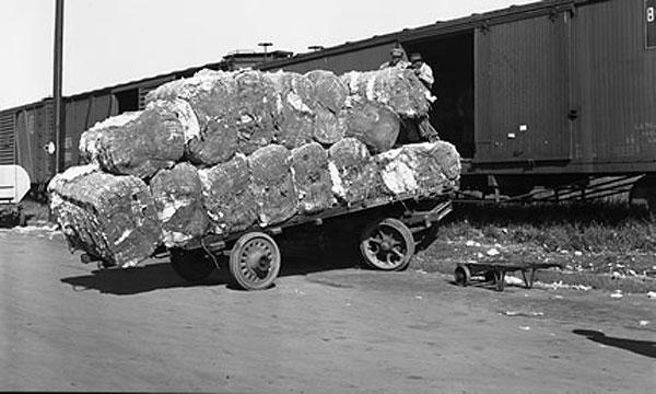 Loading the Cotton, Limited Edition Silver Gelatin Print, 11" x 14"