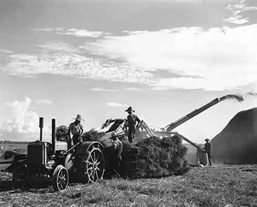 John Deere Model D and Rice Thresher, Limited Edition Silver Gelatin Print, 11" x 14"