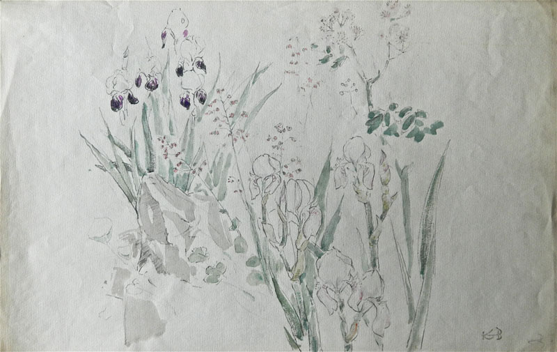 2B - "Irises", c. 1950s Watercolor and Pencil on Paper 12" x 18