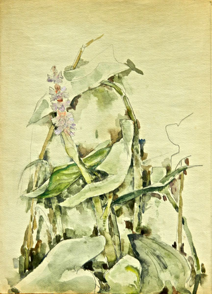 2E - "Floral Composition 1", 1958	Watercolor	19.25" x 13.75"