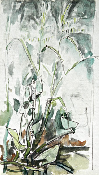 2F - "Floral Composition 2", ca. 1958 Watercolor 18" x 10"