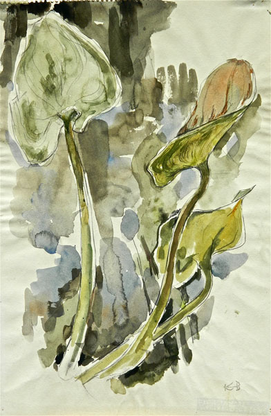 2H - "Study of Pontedria Leaves and Stems", c. 1958 Watercolor 17.5" x 12"